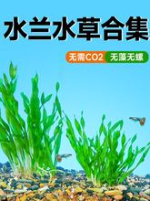 ˮ�mˮ�ݴ�Сˮ�m���~�~�m���m�к�ˮ�²�����~��ˮ��ֲ��