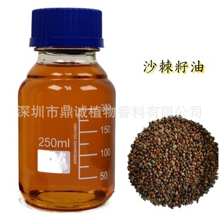 �����A�͡�ɳ�����ͳ��R����ȡɳ����HIPPOPHAE RHAMNOIDES������