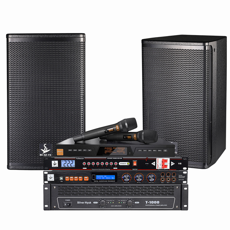 Sistema de audio profesional integral para bares, uso doméstico, salas de conferencias, estudios de baile, conjunto de audio KTV, audio para karaoke.