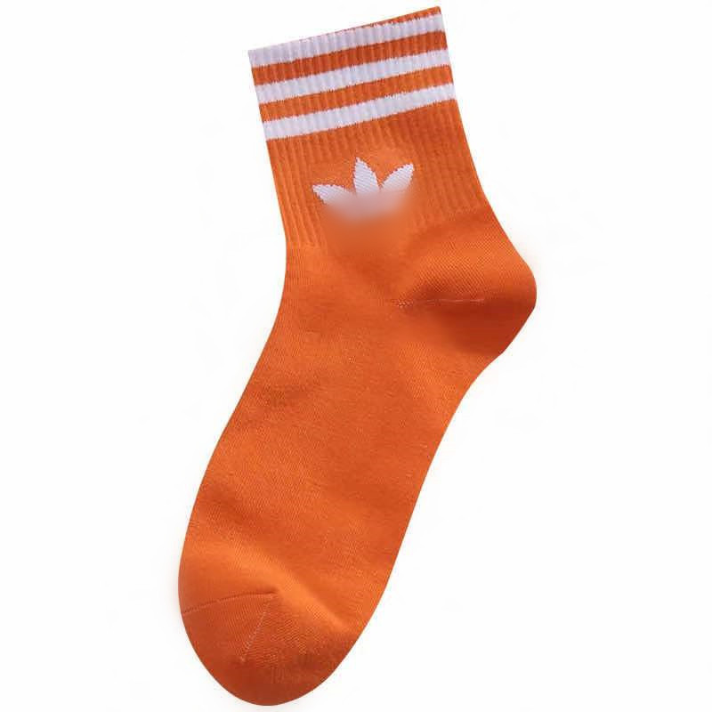 微信图片_20210311224900_副本