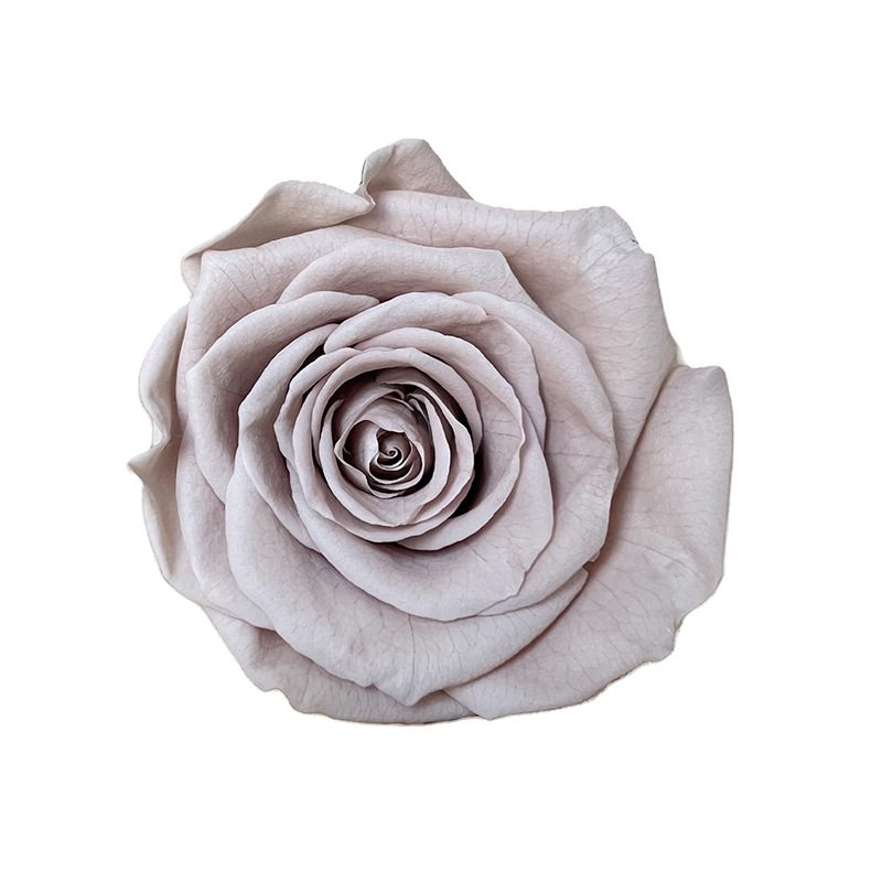 4-5cm 8 Flores, grado B DIY flores eternas, rosas eternas, Yunnan Kunming al por mayor, flores preservadas