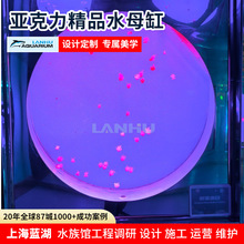 定制创意亚克力水母缸异形设计水母饲养设备水族馆亚克力展示缸