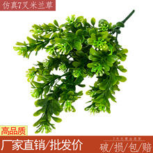 ֲ���ȼ����Gֲ��ݿ͏d�b��廨�����m�~���ϻ��ٻ��Gֲ�[��