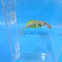 �S�����l���y�޽��،m�����^�p͸���������쾰��B�\��ߴ��x��