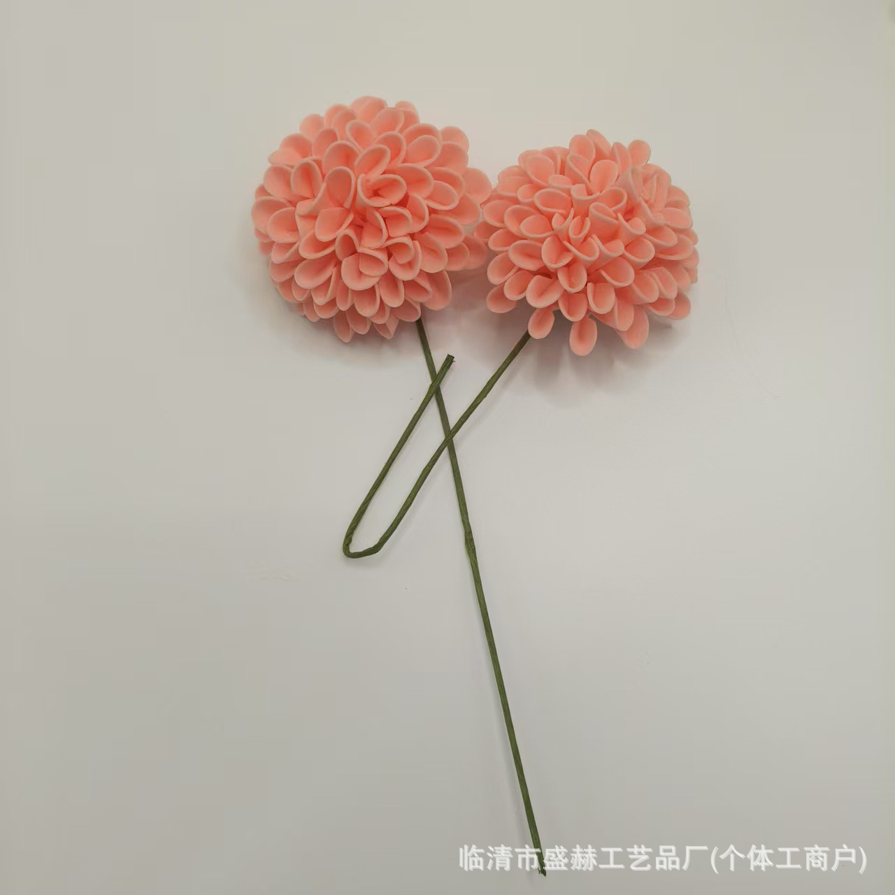 微信图片_20250528114721_125