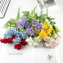 ����6���Pβ�հ��� �ҾӾƵ�廨�[����c�쾰�zӰ�����ٻ�С�ѻ�