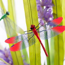 3d���w�������Ѡ��N�͏d���҃�ͯ���鷿�b��N�����������N����