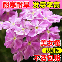 ��Ů�ѷN�Ӳ��N�ļ��׷N�҃Ȼ��ܷN���̨�����ﲥͥԺ����