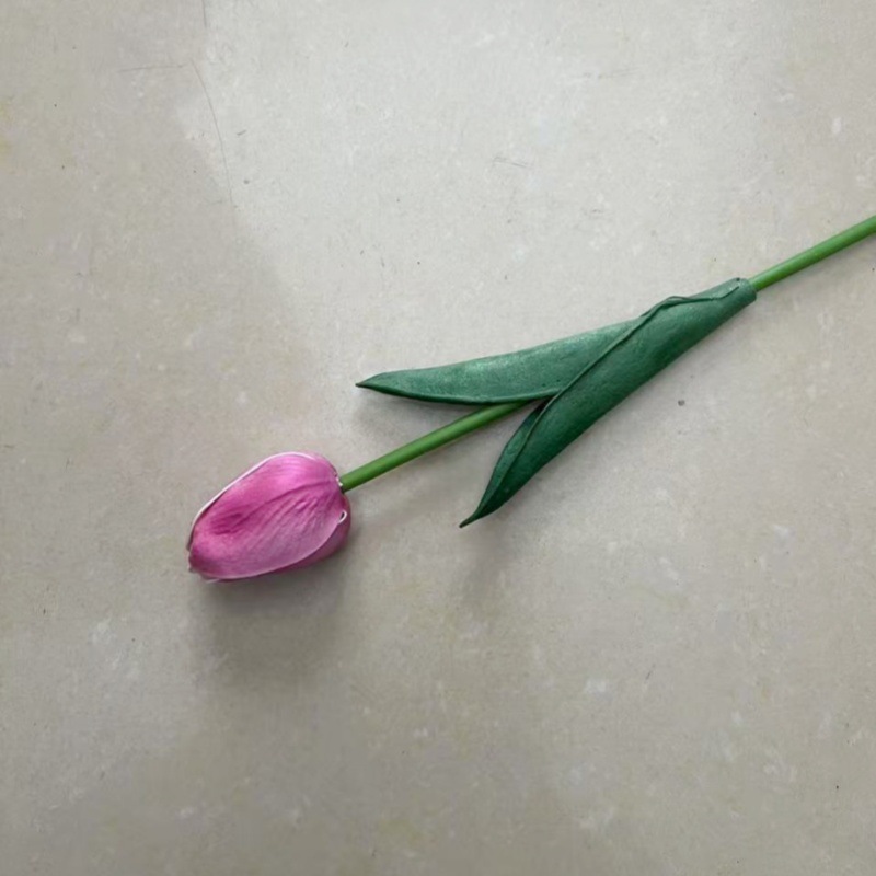 스프레이 컬러 보라색