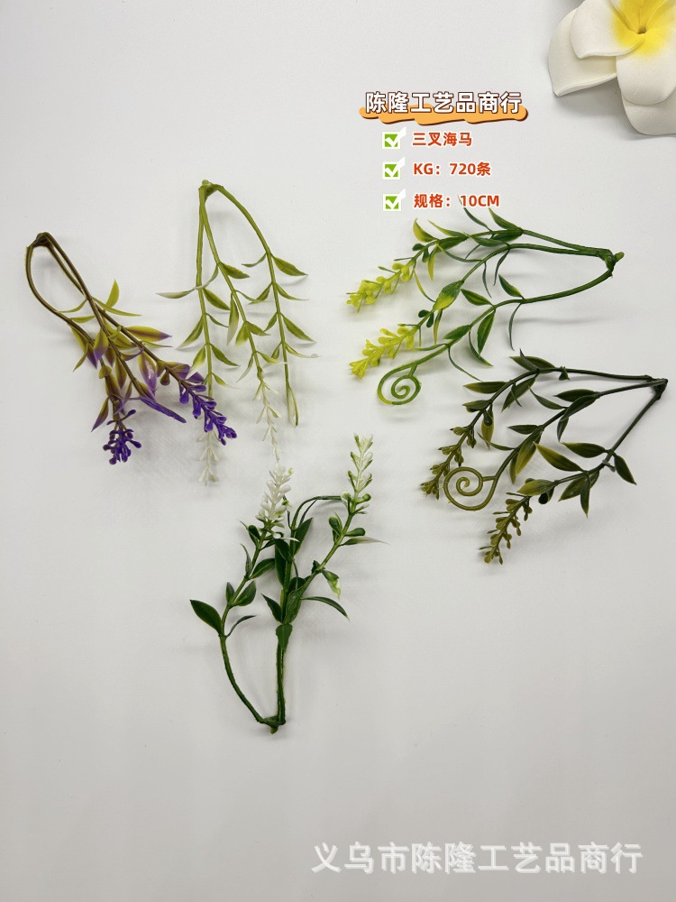 微信图片_20250319172644_副本