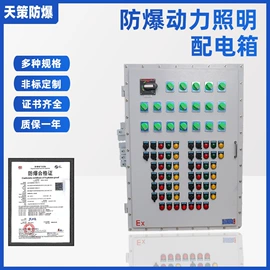防爆箱;配电箱;其他防爆器材