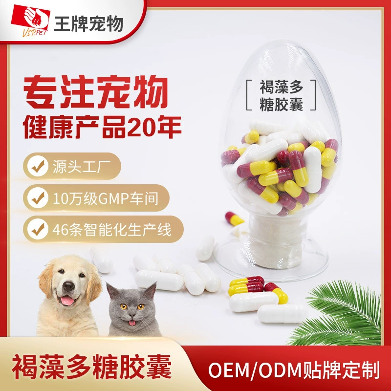 Фукоидан любимца Капсулес Фукоидан кота собаки ОЭМ Капсулес ОЭМ