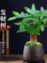 �lؔ��С�����҃�ֲ��ˮ��͏d����[���¿�ܾGֲ�辰���B�׻�