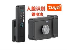 掌纹3D人脸识别指纹锁户外铁门涂鸦密码智能户外庭院防雨牛头门锁