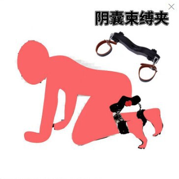 SM scrotum restraint clip torture props fun sex tools to punish male slaves kneeling punishment device training Yang abuse self-binding SM scrotum restraint clip torture props fun sex tools to punish male slaves kneeling punishment device training Yang abuse self-binding