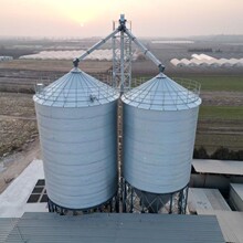 ��ϏS�Bֳ��䓰�}100-1000��Ͳ�}���ׂ}���ɂ}