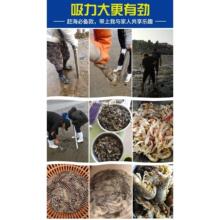 ���r�����rͲ�s�����ߌ��I�b�亣�c�o��ƤƤ�r�r��E18