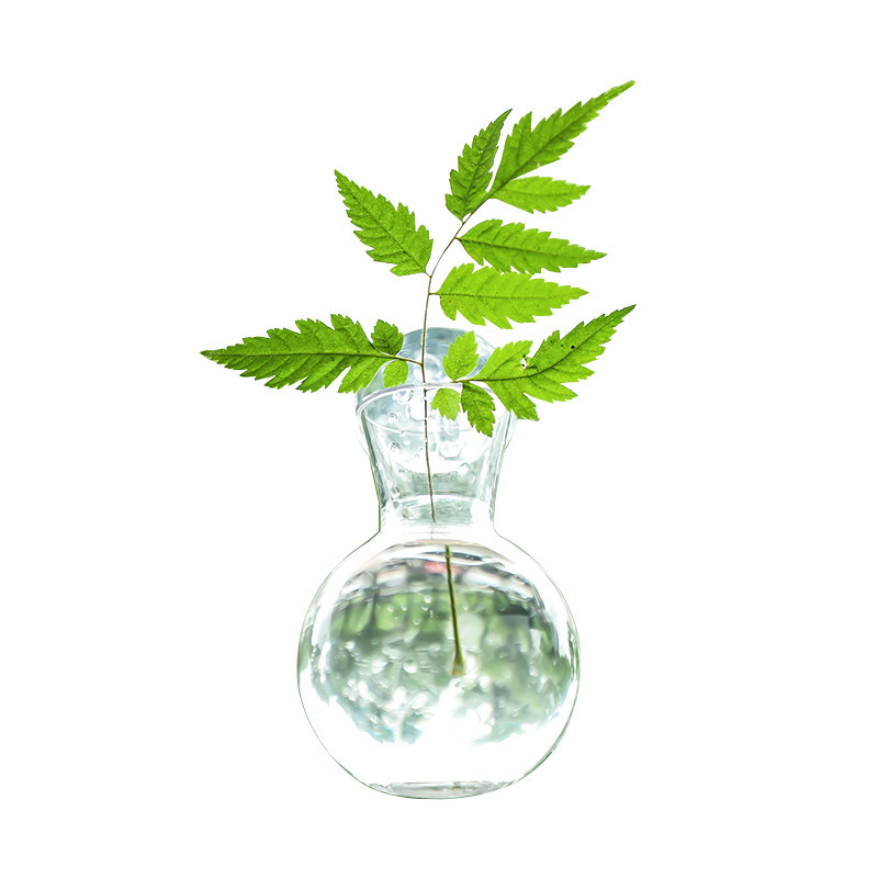 创意DIY水培绿萝植物瓶子家居室内悬挂件装饰小清新亚克力小花瓶|undefined