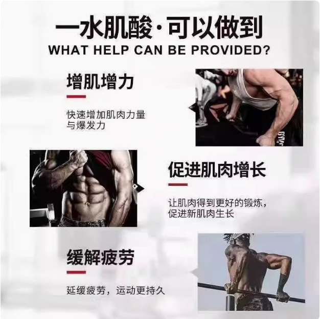 肌酸  乳白粉末98%高纯度 肌酸 200营养强化剂粉 一水工厂现货批|undefined