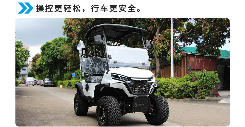 2-Seater Golf Cart, Cross-Border Sightseeing Vehicle, Tourist Attraction Hotel Shuttle Bus, Golf Course Ball-Picking Cart, Golf Cart