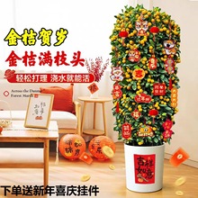 ��ۘ����Կ�ʳ�Î������Ә����҃ȿ͏d���������辰���;Gֲ���