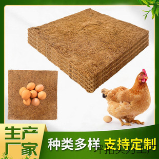 �u�C�µ��B�Ҭ�z�B���CҬ�؉|������ů��ֳ�CҬ���w�S�������x�|