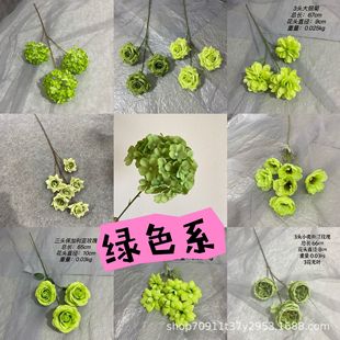 ���滨��c�û��Gɫ���ļٻ���c���Ż��ֹ������ҾӔ[��������