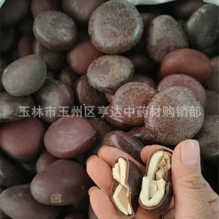 �������lľ���� �^������ ������؛ �ĈA��