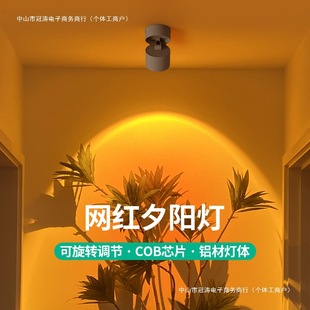 Surface-Mounted Spotlight, Sunless Spotlight, Wall Washer, Adjustable Angle, Home Living Room, Entrance Hall, Picture Atmosphere Light, Shop Lighting