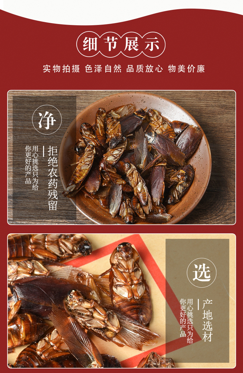 Fei Lian (Blatta orientalis) Dried Medicinal Insect — Traditional Chinese Herbal Material quality and texture
