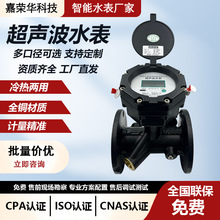 双声道超声波水表 485物联网远传大口径水计量 供水流量表