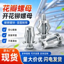 镀锌花瓣螺母碳钢空心铁皮塑料板铝板膨胀螺丝灯笼壁虎开花铆螺母