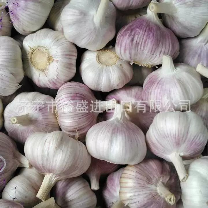 出口非洲大蒜，欧洲，南美，俄罗斯，中东，蒜头有机特大品质紫皮