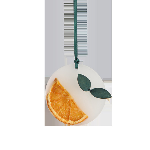 Closet Aroma Wax Sheets Indoor Home Use Long-lasting Room Closet Shoe Cabinet Aroma Solid Hanger Air Freshener