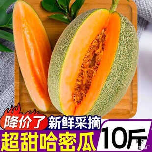 �½����������ܹ�10��W�y�����r����ˮ���������۹�������