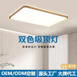 led吸顶客厅灯双色简约现代房间卧室大厅长方形主灯中山灯具厂家