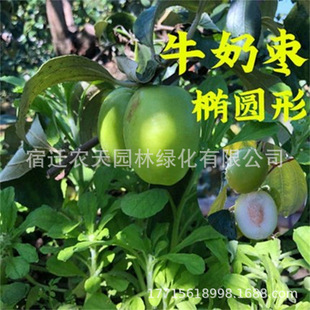 ţ�̗���旗����ᶬ����ͥԺ�����ϱ����Nֲ���䮔��Y������