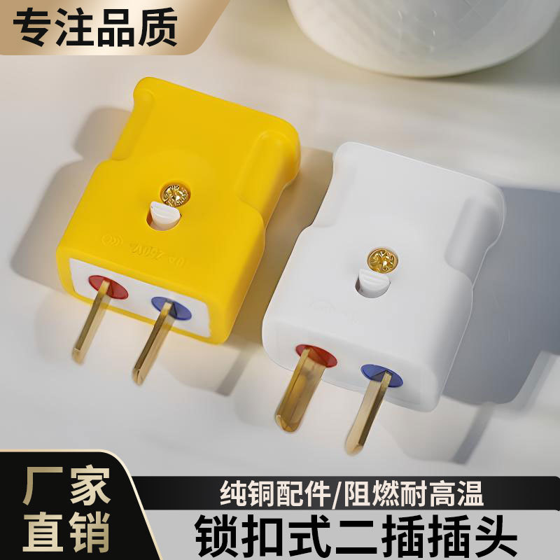 新款家用可转动可固定加厚纯铜插头二脚防漏电10A大功率不带线