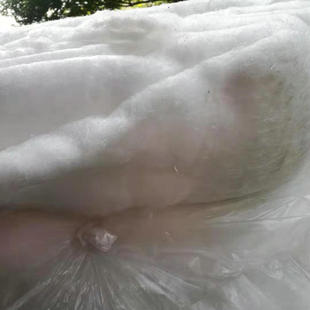 ���͚� ���ú��� ����ˮ�湤�IPP������ �����^�V������S�r���l