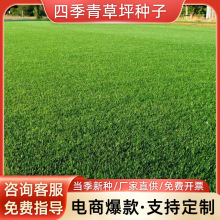 ��ƺ�N�Ѻ������ӷN�ļ��������N����é�G���ò�ƺ�N�����޼��ݷN