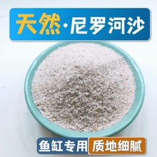 天然尼罗河砂鱼缸原生底砂造景装饰水族箱水草沙用贝壳新菲律宾沙