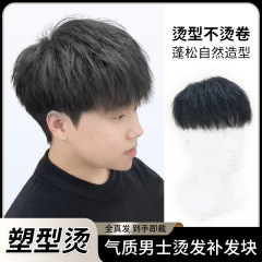 かつらの男性は本当にショートヘアが格好いいです。パーマがふわふわしています。