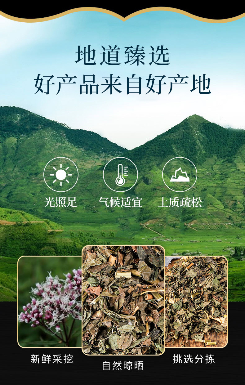Pei Lan Powder (Eupatorium fortunei) — Dried Food Herb for Tea & Seasonal Blends overview