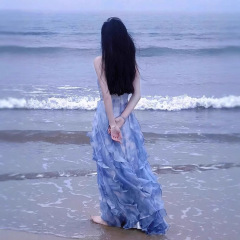 フランスの初恋の胸のサスペンダーのワンピースのアンドロメダの夏の超仙の気質の王女の海辺の休暇の砂浜の長いスカート