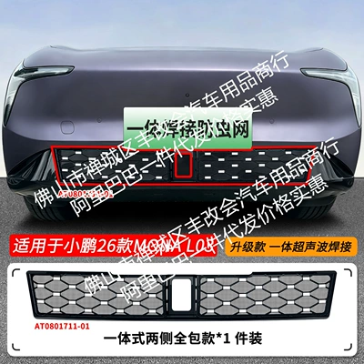 Suitable for Xpeng MONA L03, Automobile anti-insect net - 26-models-of-xpeng-mona-l03-starry-sky-insect-proof-net-one-piece-welded-painted-black