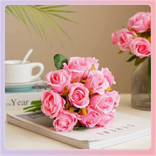 ?�nʽ��c������������12�^����Сõ��Ҿ��bٻ�12�^Сõ