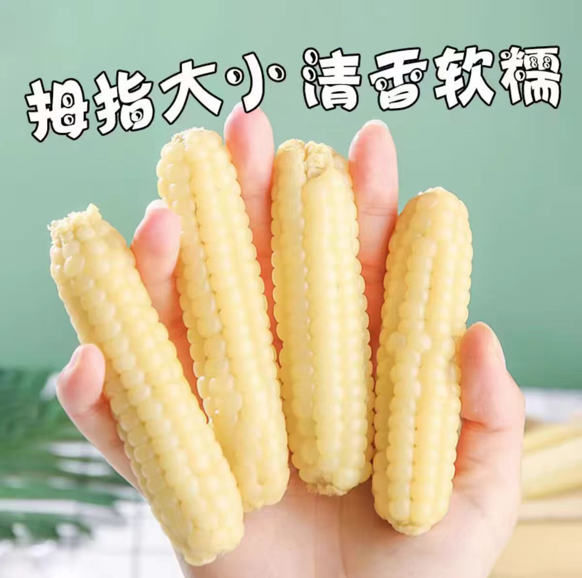 西双版纳拇指熟玉米香糯傣家甜黏白玉米真空包装早餐代餐批发代发