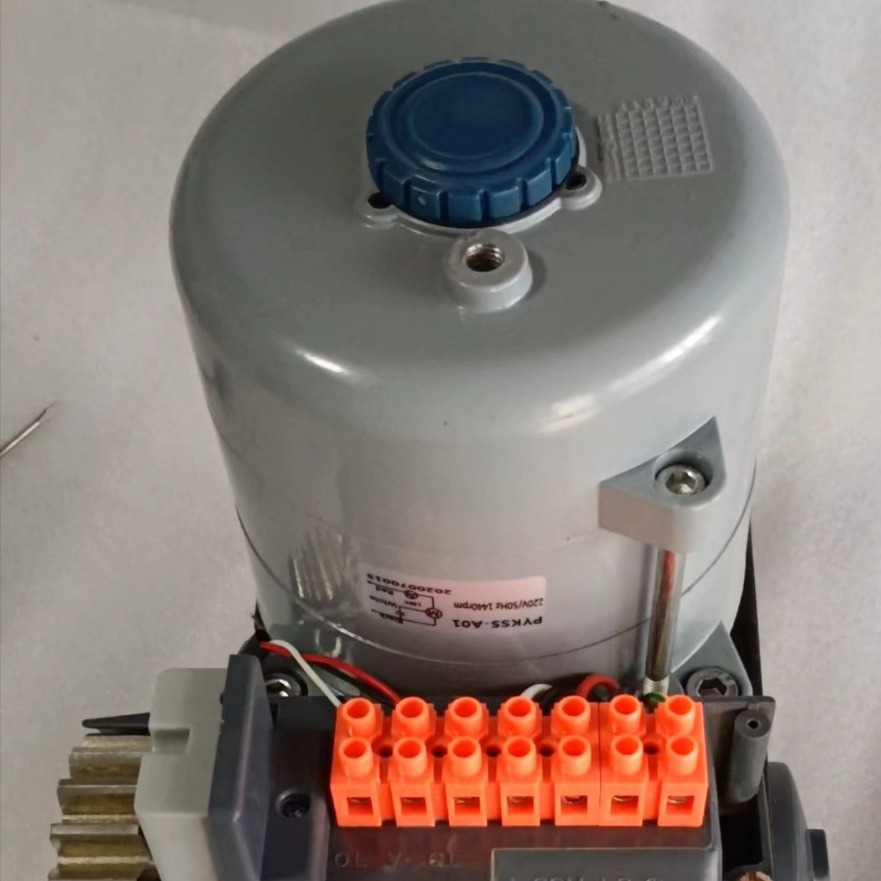 南京百胜开门机平移门电机门农家大院别墅工厂电动智能遥控大门