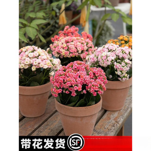 �L�ۻ������ذ�����󻨎����������ļ��҃��_�����B�Ļ���ֲ��