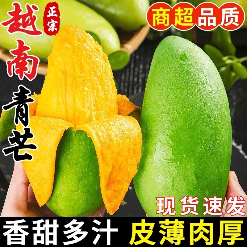 Authentic Vietnamese Green Mango Fresh Fruit 4.5kg Green Mango Seasonal Tropical Pure Sweet Golden Mango Thin Skin Authentic Vietnamese Green Mango Fresh Fruit 4.5kg Green Mango Seasonal Tropical Pure Sweet Golden Mango Thin Skin
